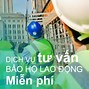 Các Loại Mũ Bảo Hộ Lao Động