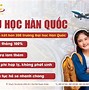 Chương Trình Xkld Hàn Quốc 2023 Pdf Tiếng Việt Miễn Phí Download