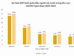 Lương Bình Quân Đầu Người Việt Nam Nhật Bản