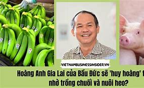 Thịt Heo Của Hoàng Anh Gia Lai Bán Ở Đầu