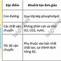 Vận Chuyển Thụ Động Các Chất Qua Màng Tế Bào